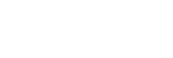 Root & Branch